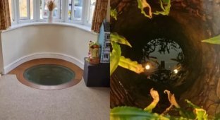Колодец в гостиной: необычное "архитектурное чудо" (2 фото + 1 видео)