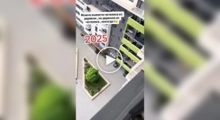 В одному з ЖК дівчина завела курник прямо у себе на балконі