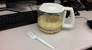 Офисные работники показали свои обеды, и от них напрочь отшибает аппетит (20 фото)