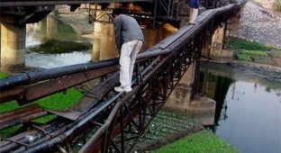 Рискованный мостик (14 фото)