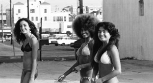 Glen Lockett. California in the 60s (39 photos)
