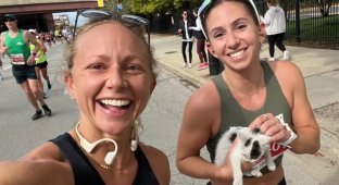 Marathon participant sacrificed medal to save kitten (3 photos)
