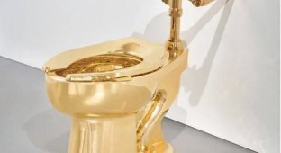 Это - золотой унитаз за 10 миллионов долларов
