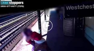 Злоумышленник в нью-йоркском метро толкает женщину на рельсы
