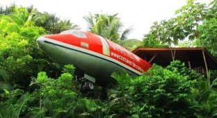 Занедбаний Boeing 727 став будиночком у джунглях у Коста-Ріці (3 фото)