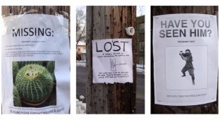 Funny missing person announcements (13 photos)