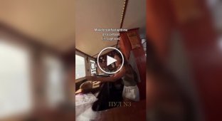 Завтрак на волнах