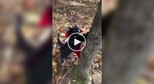 Count Dracula exists