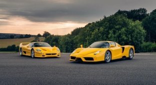 Красный Ferrari это скучно? Дилер из Великобритании продает желтый Enzo и F50 (10 фото)