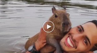Capybara is man's best friend