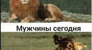 Лучшие шутки и мемы из Сети. Выпуск 725 (159 картинок)