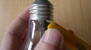 Various ways to use non-working light bulbs that are a pity to throw away (28 photos)