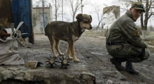 Россия свернет удочки и уйдет: эксперт рассказал, как “в кратчайшие сроки” закончить войну на Донбассе