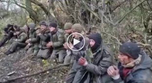 Подборка видео с пленными и убитыми в Украине. Выпуск 35