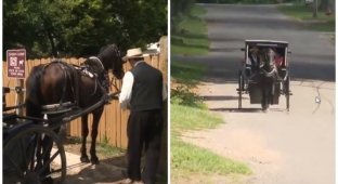 Амиши запустили собственный Uber с лошадьми и каретами (3 фото)
