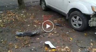 Собаки розгромили припаркований автомобіль через кішку