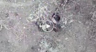Ukrainian drones drop FOGs on Russian military in the Donetsk region