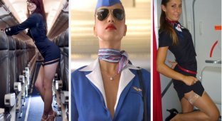 Стюардессы разных авиакомпаний (37 фото)