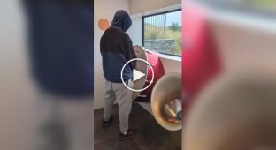 Новозеландский музыкальный туалет