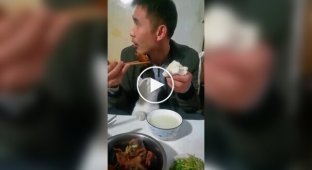 Вороватые кошки и коты