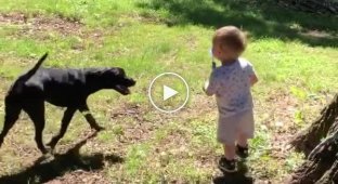 A boy accidentally threw a snake to a dog instead of a stick.