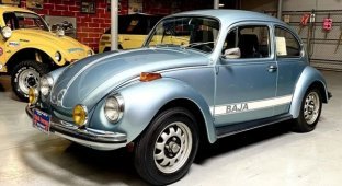 A Time Capsule in the Form of a 53-Year-Old Beetle Found in the USA (35 photos)