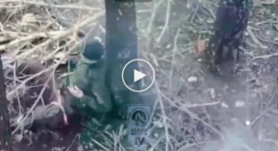 Украинские пилоты БпЛА уничтожают оккупантов в Серебрянском лесу