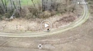 Нарушитель пытался добраться из Николаева до Румынии на велосипеде