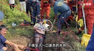 Китаянка упала в старый колодец со змеями и провисела там, держась за стену, прежде чем ее спасли