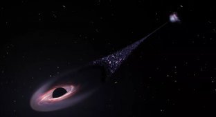 Scientists have discovered a comet with a black hole in the core and a tail of stars (2 photos)
