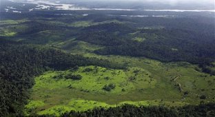 Вырубка леса на берегу Амазонки (13 фото)