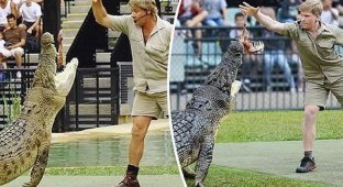 Сына охотника на крокодилов не отличить от отца! (6 фото)