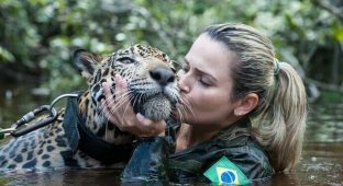 Тоже кошка, но только большая: необычная история ягуара в бразильской армии (3 фото)
