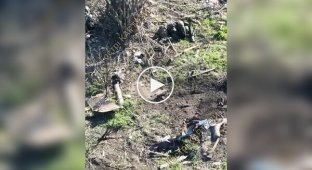 Десятки тіл ліквідованих окупантів валяються на вулиці українського села та на рештках зруйнованих будинків