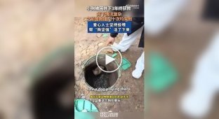 В Китае спасли собаку, которая несколько лет жила под землей