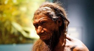 The oldest human viruses were found in the remains of Neanderthals (3 photos)