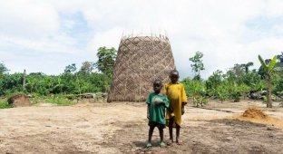 How bamboo vase-like towers produce water in Africa (3 photos + 1 video)