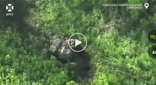 Border guards destroyed dugouts, an infantry fighting vehicle, enemy drones, a mortar position, an antenna and a UAV control center