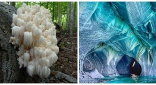 20 фотографий, которые вернут вам веру в чудо (21 фото)