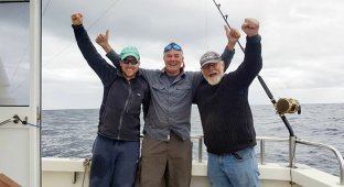 Рыбаки поймали гигантского тунца, который может стоить миллионы и выпустили его обратно в океан (4 фото)