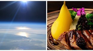 For $500 thousand, space tourists will be fed dinner from a Danish chef (4 photos)