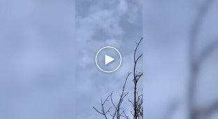 Бойцы с земли снимают атаку зенитного дрона на российский БПЛА Гербера
