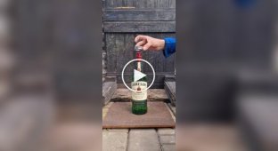 Какой вес может выдержать бутыкла виски