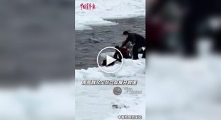 Спасение китайских туристов из ледяной воды горной реки