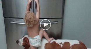 Верный четвероногий друг помог маленькой девочке добраться до холодильника
