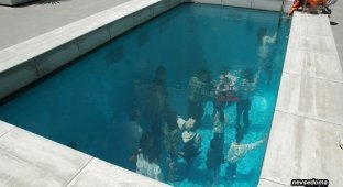 Японский бассейн с секретом (7 фото)