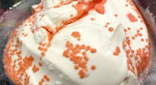 “Soft and fluffy”: how different things change if you forget about them for a long time (13 photos)
