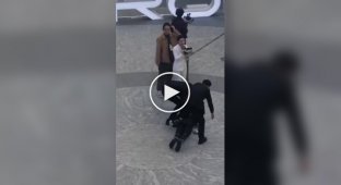 Робот упал во время публичной демонстрации