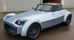 A sports car with a strange appearance is put up for sale (18 photos)