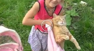 Девочка, флегматичный кот и соска